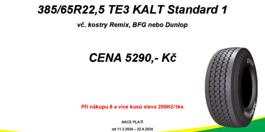 38565R22,5 TE3 KALT Standard 1